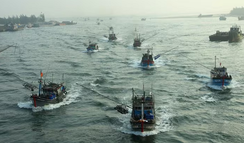 Khắc phục 'thẻ vàng' IUU: Quảng Trị kiểm soát chặt hoạt động tàu cá