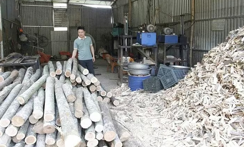 Trưởng thôn 8X đi đầu trong phát triển kinh tế