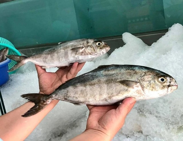 Loài cá nghe tên