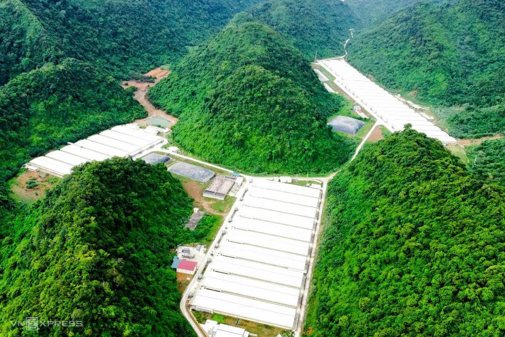 Tai nạn tại trang trại lợn ở Thanh Hóa làm 5 người tử vong và 2 người bị thương