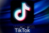 Nhiều bang của Mỹ cấm ứng dụng TikTok