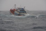 Cứu sống 8 thuyền viên trên tàu cá bị chìm ngoài khơi