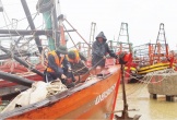 Một ngư dân Quảng Bình rơi xuống biển mất tích trên đường đi tránh bão
