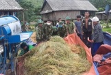 Bộ đội Biên phòng Quảng Bình giúp dân thu hoạch lúa