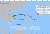 Bão số 6 đi vào đất liền các tỉnh, thành phố Thừa Thiên - Huế, Quảng Nam - Đà Nẵng