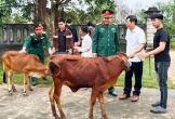 Trao tặng bò cho gia đình quân nhân khó khăn có thanh niên nhập ngũ