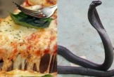 “Rợn tóc gáy” món pizza thịt rắn, ăn ngon như thịt gà