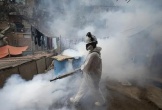 Peru: Dịch sốt xuất huyết lây lan nhanh, số ca tử vong tăng gấp 3 lần