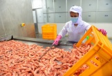 Mỹ, Trung Quốc 'đua nhau' mua tôm, cua, cá từ Việt Nam