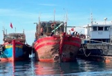 Tàu hàng va chạm với tàu cá, 8 ngư dân may mắn được cứu sống