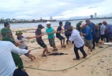 Quảng Bình: Ba tàu cá bị nạn, ngư dân tự bơi được vào bờ