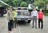 Người dân Quảng Trị chọn bảo vệ - không chọn ‘sở hữu’ chim quý