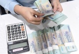Quảng Trị: Cưỡng chế 2 doanh nghiệp vì nợ thuế lớn