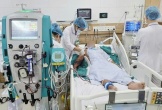 Tử vong sau khi bị rắn hổ mang cắn