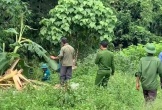 Đi lấy măng, người đàn ông nghi bị voi rừng quật chết