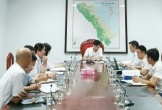 Quảng Trị: Phạt doanh nghiệp nuôi lợn 320 triệu đồng do hoạt động chưa có giấy phép môi trường