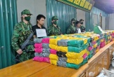 Bộ đội Biên phòng Quảng Trị ngăn chặn 500 kg m.a t.ú.y qua biên giới