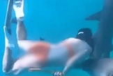 Kinh hoàng cảnh cô gái bị cá mập cắn nhưng vẫn từ chối lên bờ vì muốn chụp thêm ảnh