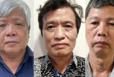 Hôm nay, Cựu Thứ trưởng Bộ Tài nguyên và Môi trường ra tòa vụ đất hiếm