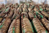 Một loại bánh Việt Nam từ món ăn dân dã đến đặc sản đạt kỷ lục châu Á, vươn ra thế giới