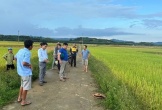 Hà Tĩnh: 2 người bị sét đánh tử vong