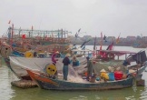 Lý do khiến 11 tàu cá bị phạt gần 1,4 tỉ đồng ở Quảng Bình