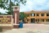Sai phạm đất rừng 