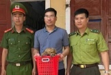 Người dân Quảng Bình giao nộp cá thể cu li cực kỳ quý hiếm