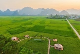 Độc đáo trải nghiệm du lịch giữa hương lúa đồng quê