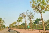 Quảng Bình: Cán bộ bị kỷ luật từ 2020 đến nay sẽ không được bổ nhiệm cao hơn