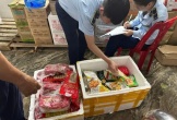 Phát hiện nhiều loại thực phẩm quá hạn, nhập lậu tại tỉnh Quảng Bình