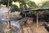 Một người tử vong, ba người bị thương tại khu vực mỏ vàng ở Cao Bằng