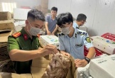 Quảng Bình phát hiện hơn 3,9 tấn thực phẩm đông lạnh các loại nhập lậu