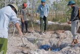 Quảng Trị phun hơn 6.000 lít hóa chất tiêu độc khử trùng dập dịch tả lợn Châu Phi
