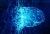 AI sẽ 'tiến hóa' trở nên có ý thức?