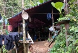 Quảng Trị sẽ hoàn thành xử lý các hầm khai thác vàng trái phép trước ngày 25/8