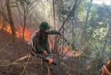 Cháy rừng phòng hộ tại Đèo Ngang nghi do đốt ong