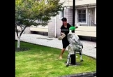 Những khoảnh khắc đo ván, nằm đường đầy 'muối mặt' của robot