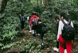 Bí kíp khám phá Vườn Quốc gia Cúc Phương tránh rủi ro cho du khách