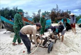 Bộ đội Biên phòng tỉnh Quảng Trị tăng cường giúp dân ứng phó bão số 5