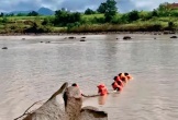 Tắm sông, 2 trẻ tiểu học chết đuối