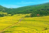Lễ hội ruộng bậc thang Miền Đồi