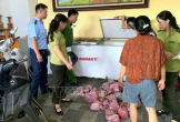  Phát hiện, thu giữ 290 cá thể Cò hương cấp đông chờ tiêu thụ