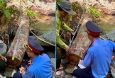 UBND tỉnh Quảng Trị chỉ đạo kiểm tra, xử lý nghiêm các hành vi vi phạm