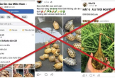 Tràn lan 'chợ đen' thú rừng trên mạng