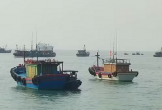 Quảng Trị đầu tư 35 tỷ đồng xây dựng Khu neo đậu tàu thuyền vịnh Hòn La