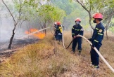 Quảng Trị dập tắt vụ cháy rừng tràm tại khu vực giáp ranh xã Nam Cửa Việt và Triệu Cơ