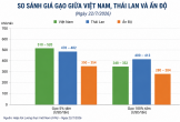 Giá gạo xuất khẩu phục hồi nhưng doanh nghiệp vẫn chịu áp lực cạnh tranh gay gắt