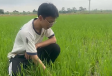 Cậu học trò xứ Thanh và nghị lực trở thành Á khoa tại kỳ thi tốt nghiệp THPT 2026