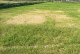 Quảng Trị chủ động ứng phó hạn mặn